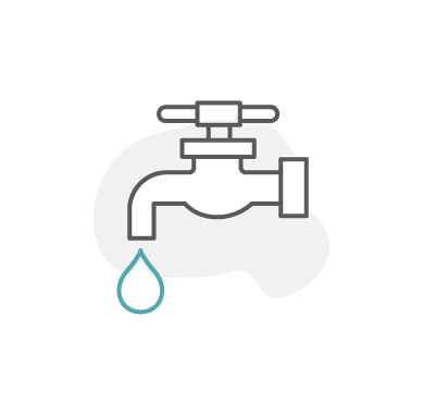 Backflow Testing icon
